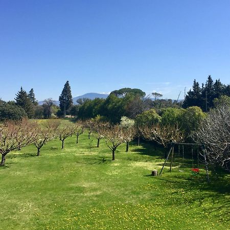 Mas Les Fleurs D'Hilaire Bed & Breakfast Monteux Dış mekan fotoğraf
