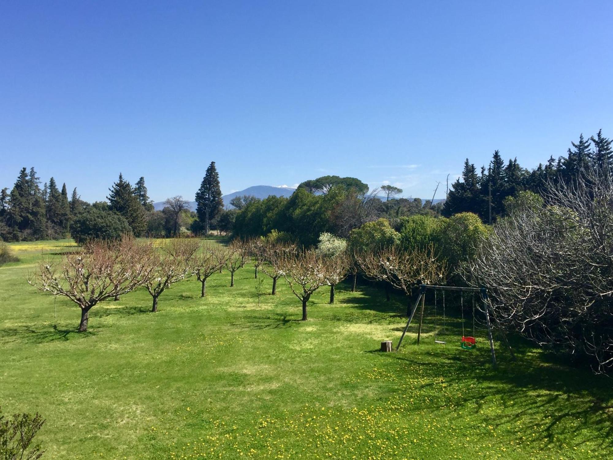 Mas Les Fleurs D'Hilaire Bed & Breakfast Monteux Dış mekan fotoğraf